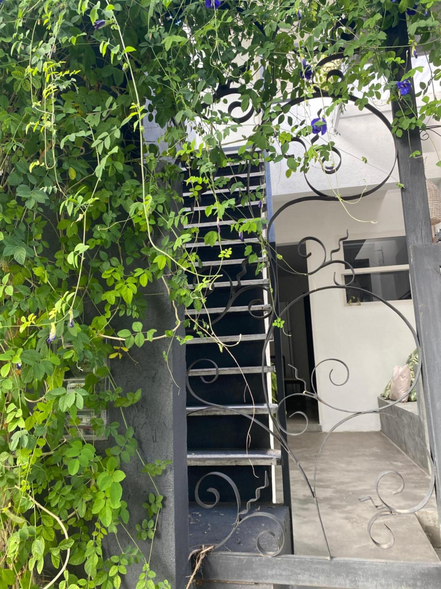 Casa Elsa Pipa Διαμέρισμα Praia de Pipa Εξωτερικό φωτογραφία