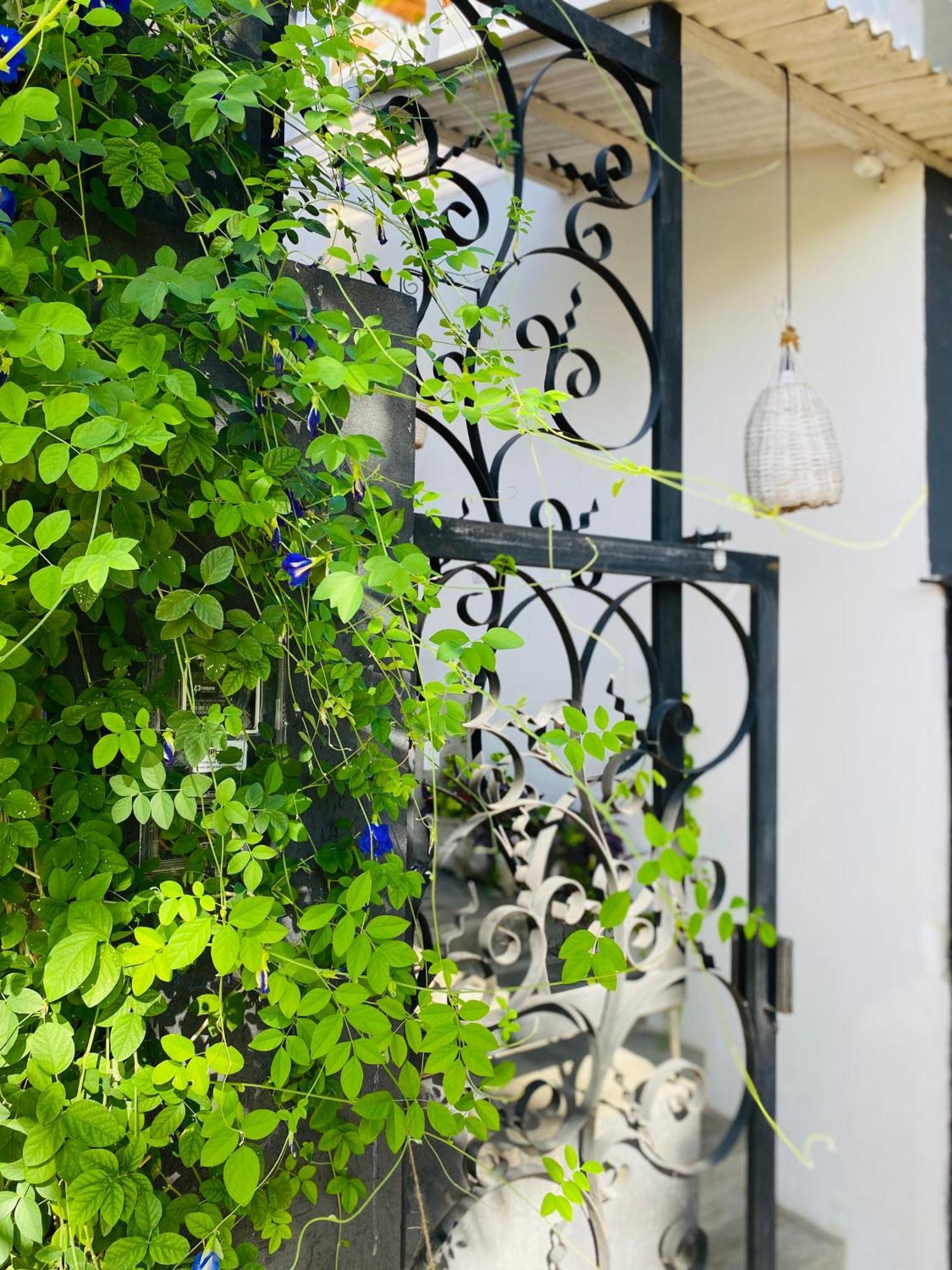 Casa Elsa Pipa Διαμέρισμα Praia de Pipa Εξωτερικό φωτογραφία
